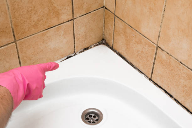 Best Commercial Mold Removal  in Kekaha, HI
